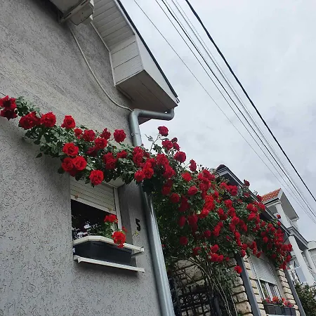 Fortress * Nis